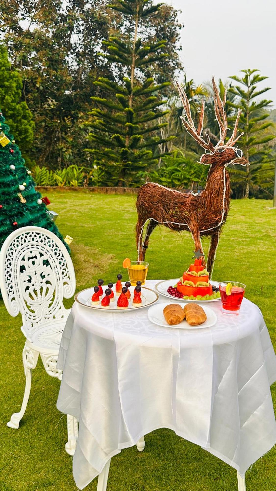 Serene Crest Resort 玛纳多迪 外观 照片